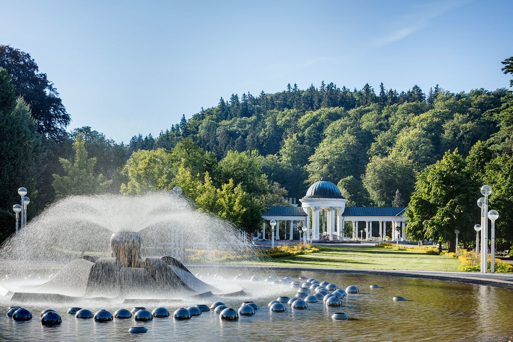 53579746492_8dbe62eff4_b