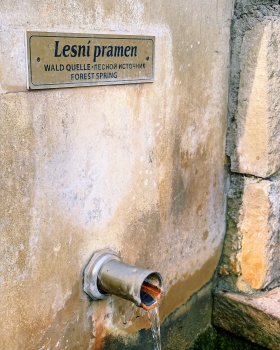 lesni pramen-kohoutek