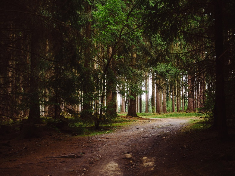 04.Mariánské Lázně - Příroda=Marienbad - Natur