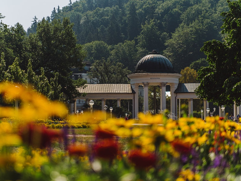 02.Mariánské Lázně - Příroda=Marienbad - Natur
