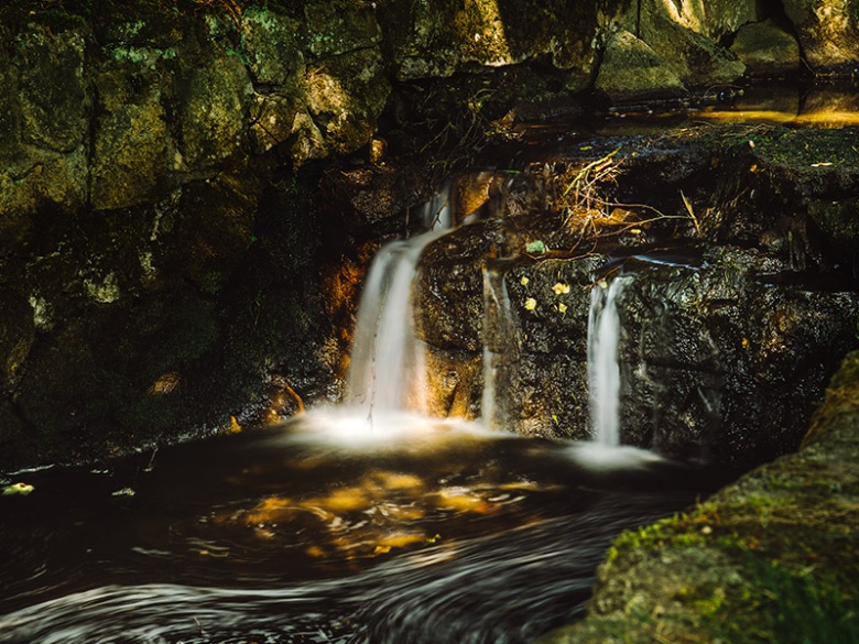 01.Mariánské Lázně - Příroda=Marienbad - Natur