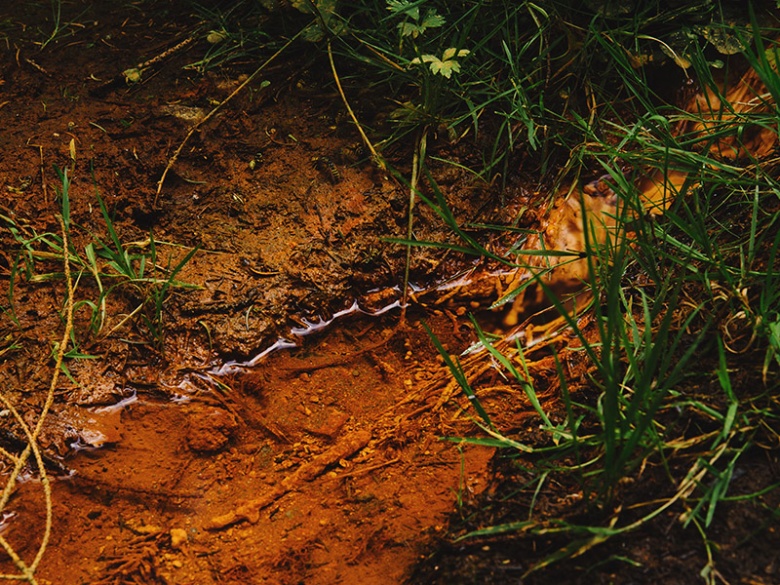 06.Mariánské Lázně - Příroda=Marienbad - Natur